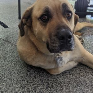 Meet your Posher, Cheryl